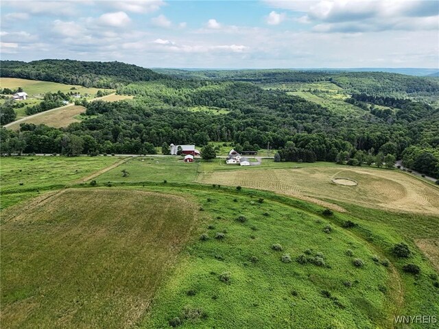 9935 Swift Rd, Cuba, NY 14727 - photo 13