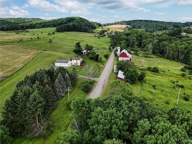 9935 Swift Rd, Cuba, NY 14727 - photo 15