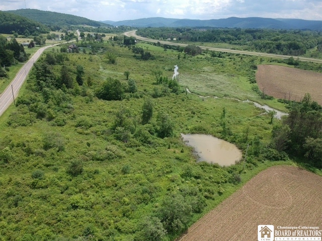 2364 Five Mile Rd, Allegany, NY 14706 - photo 4