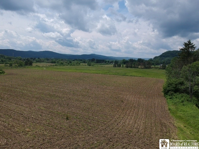 2364 Five Mile Rd, Allegany, NY 14706 - photo 6