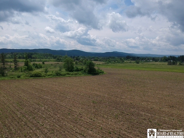2364 Five Mile Rd, Allegany, NY 14706 - photo 7