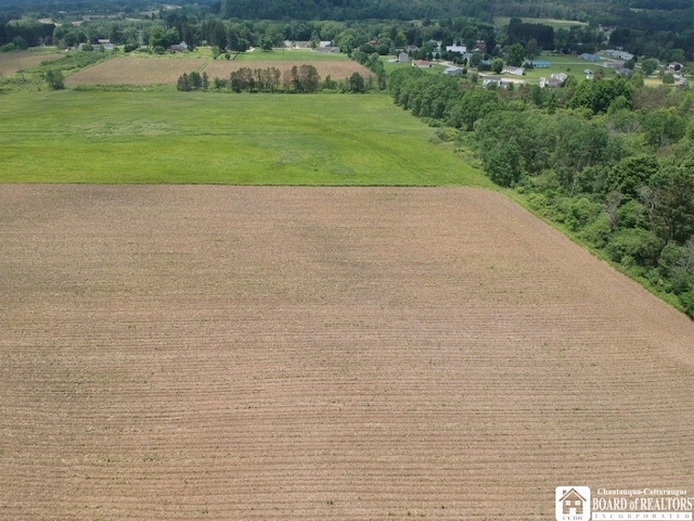 2364 Five Mile Rd, Allegany, NY 14706 - photo 8