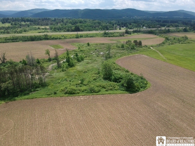 2364 Five Mile Rd, Allegany, NY 14706 - photo 9