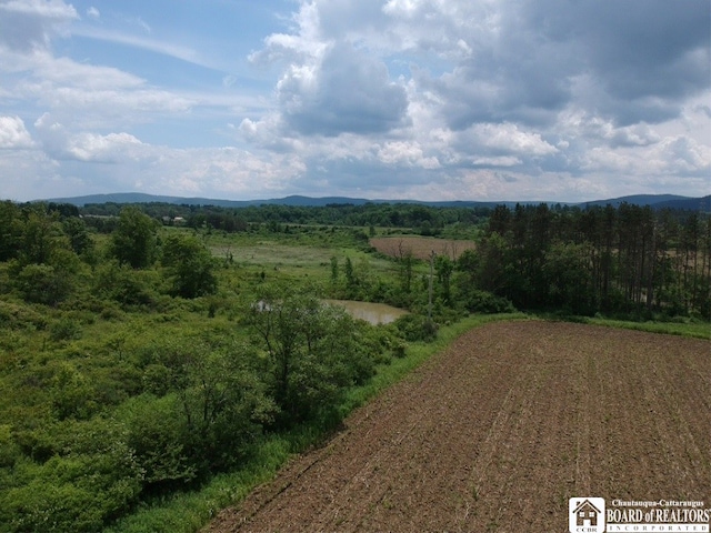 2364 Five Mile Rd, Allegany, NY 14706 - photo 10