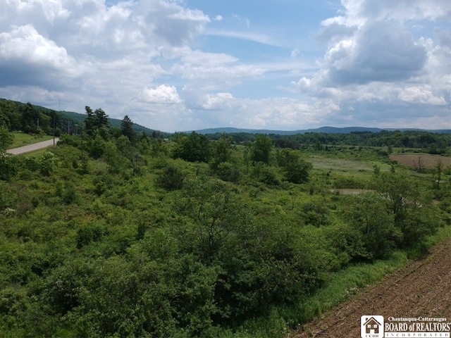 2364 Five Mile Rd, Allegany, NY 14706 - photo 11