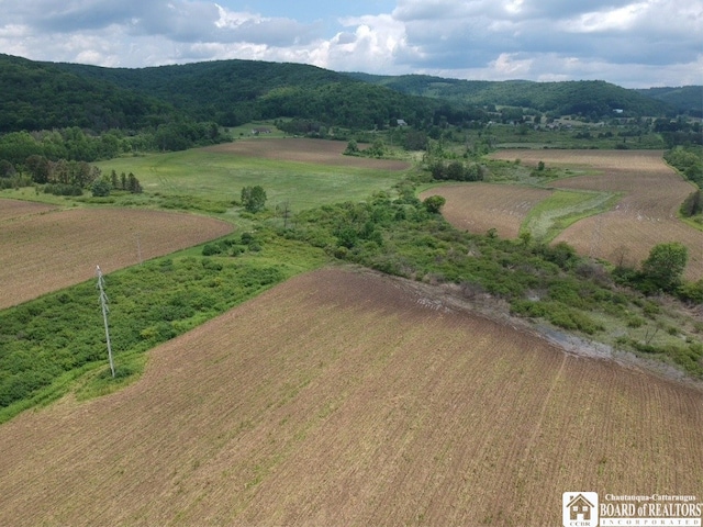 2364 Five Mile Rd, Allegany, NY 14706 - photo 14