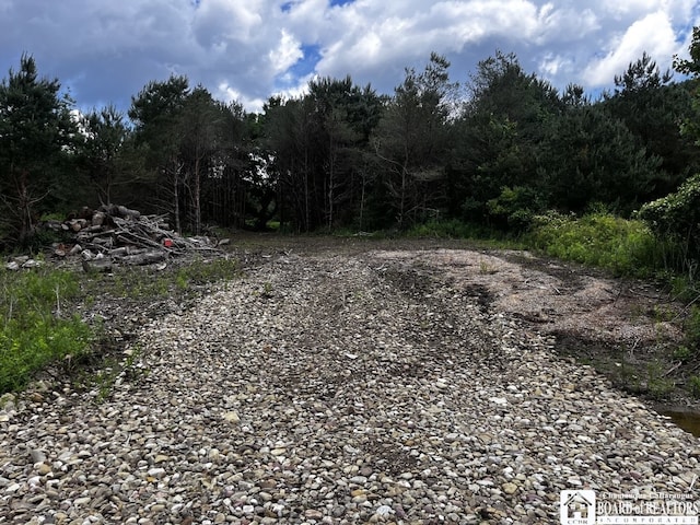2364 Five Mile Rd, Allegany, NY 14706 - photo 15