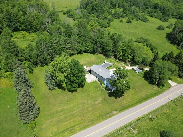 3121 County Route 31, Jasper, NY 14823 - photo 49