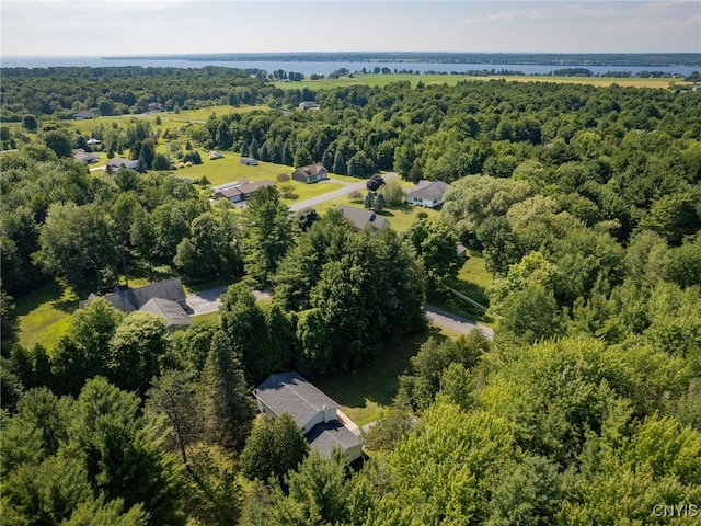 14496 Military Rd, Hounsfield, NY 13685 - drone / aerial view of a large body of water and a forest
