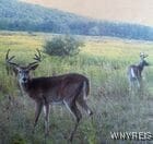 Christian Hollow Rd, Southport, NY 14871 - photo 20