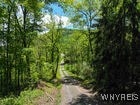 Christian Hollow Rd, Southport, NY 14871 - photo 17