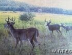Christian Hollow Rd, Southport, NY 14871 - photo 19