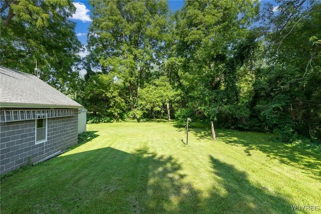 2458 Hess Rd, Newfane, NY 14008 - view of grassy yard