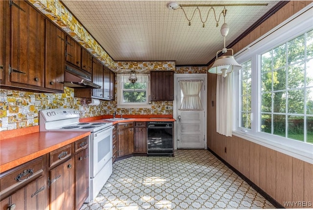 2458 Hess Rd, Newfane, NY 14008 - kitchen with electric stove, under cabinet range hood, plenty of natural light, light countertops, and wooden walls