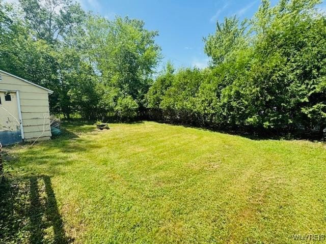 454 Campus Dr, Amherst, NY 14226 - view of green lawn with an outdoor structure