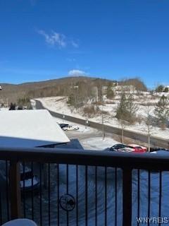 6447 Holiday Valley Rd Unit 410412-2, Ellicottville, NY 14731 - photo 9