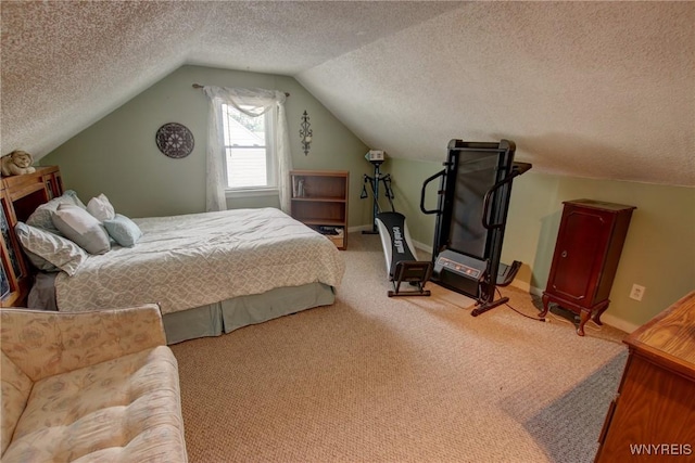 112 Vegola Ave, Cheektowaga, NY 14225 - bedroom with a textured ceiling, carpet, and lofted ceiling