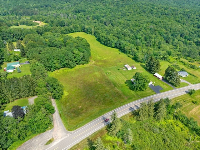203 State Highway 28 S, Franklin, NY 13820 - photo 43