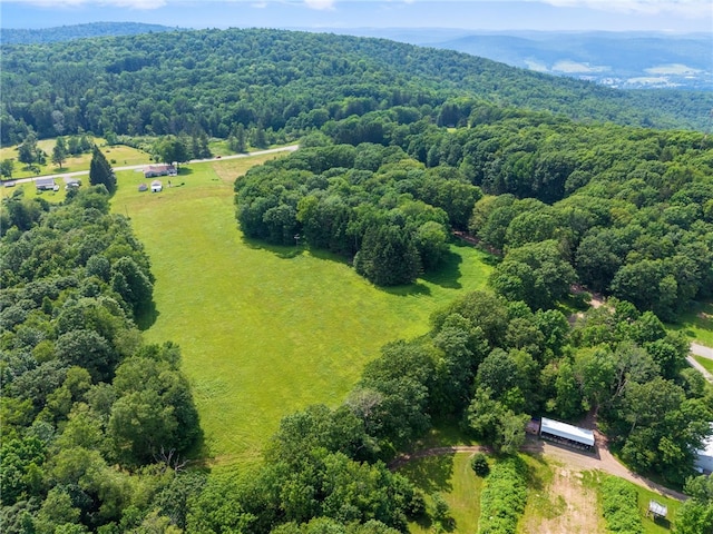 203 State Highway 28 S, Franklin, NY 13820 - photo 39