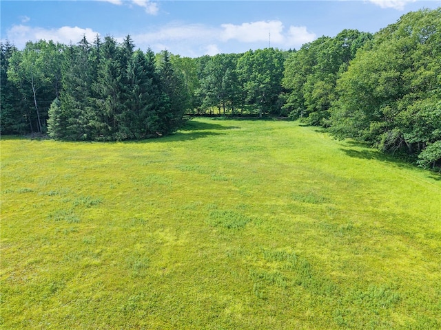 203 State Highway 28 S, Franklin, NY 13820 - photo 40