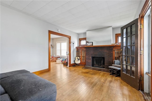 423 Highland Ave, Dewitt, NY 13057 - living room featuring a fireplace and wood-type flooring