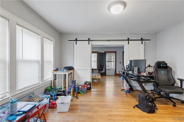 423 Highland Ave, Dewitt, NY 13057 - office area featuring a barn door, ornamental molding, and light wood-type flooring