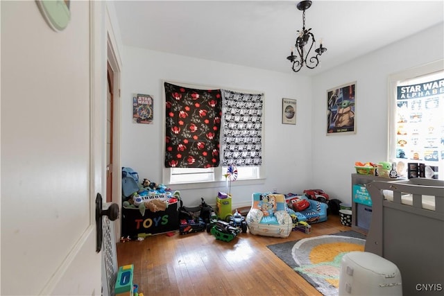 423 Highland Ave, Dewitt, NY 13057 - recreation room with healthy amount of natural light and wood-type flooring