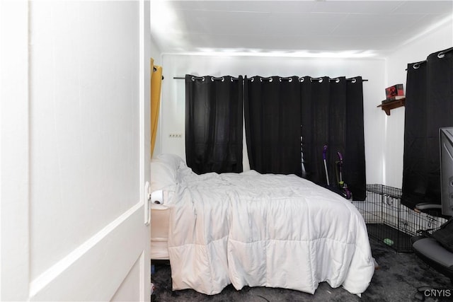 423 Highland Ave, Dewitt, NY 13057 - bedroom with carpet floors