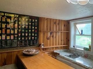 884 Kibby Rd, Lysander, NY 13027 - wine room with a sink