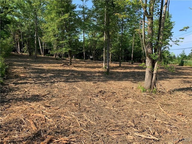 8393 Southwestern Blvd, Evans, NY 14006 - photo 1