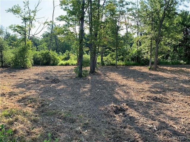 8393 Southwestern Blvd, Evans, NY 14006 - photo 6