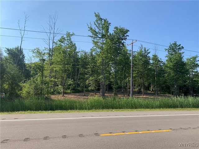 8393 Southwestern Blvd, Evans, NY 14006 - photo 10