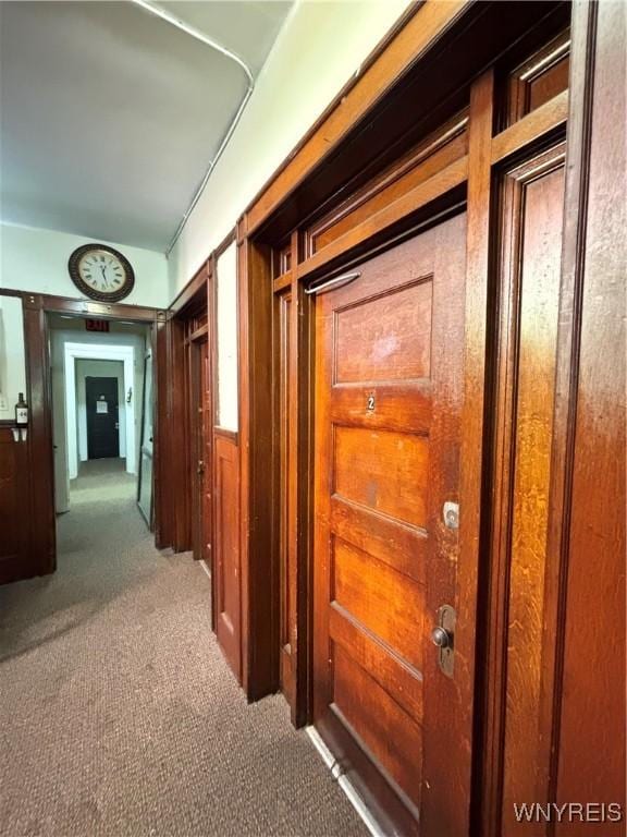 333 Elmwood Ave, Buffalo, NY 14222 - photo 3