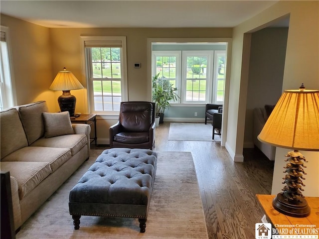 37 Center St, Ellery, NY 14712 - living room featuring healthy amount of natural light and wood finished floors
