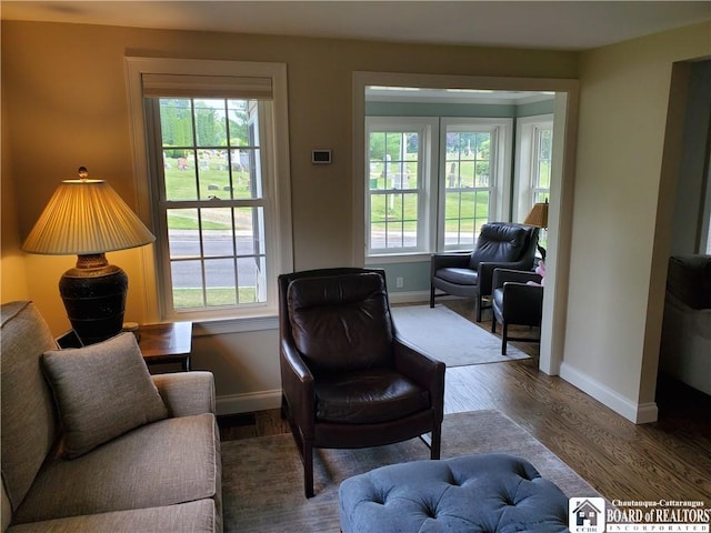 37 Center St, Ellery, NY 14712 - living room with plenty of natural light and wood finished floors