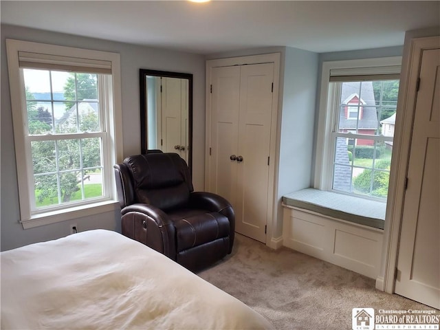37 Center St, Ellery, NY 14712 - bedroom featuring light colored carpet, multiple windows, and a closet