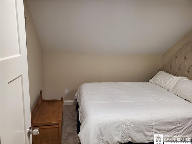 37 Center St, Ellery, NY 14712 - carpeted bedroom with baseboards and lofted ceiling