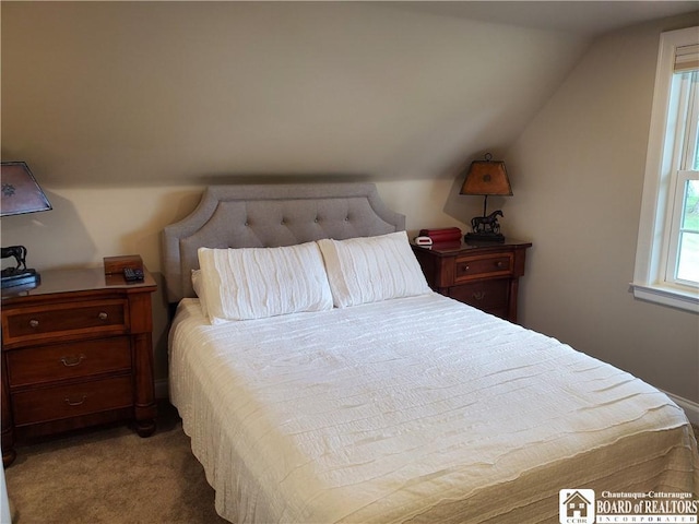 37 Center St, Ellery, NY 14712 - bedroom featuring vaulted ceiling and carpet floors