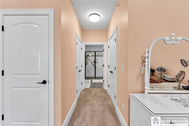 743 Legacy Dr Unit 209, Lewiston, NY 14092 - hall with carpet and baseboards