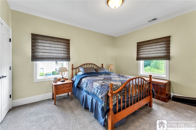 743 Legacy Dr Unit 209, Lewiston, NY 14092 - bedroom with carpet flooring and multiple windows