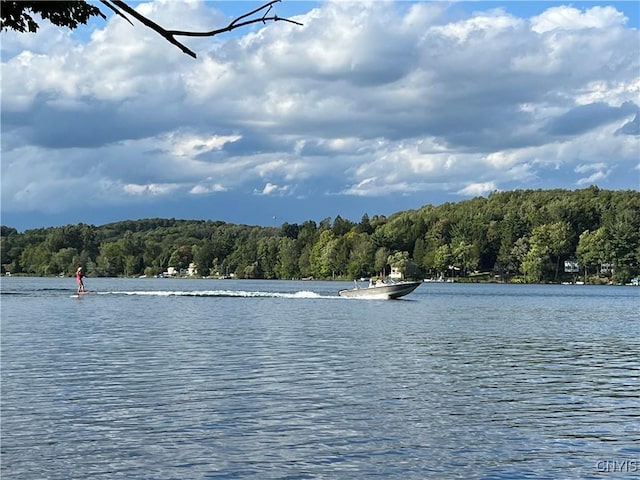 3018 Camp Rd, Eaton, NY 13334 - water view featuring a heavily wooded area