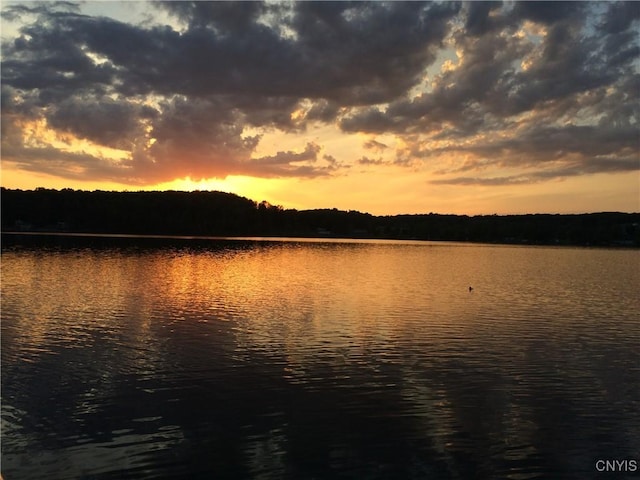 3018 Camp Rd, Eaton, NY 13334 - water view