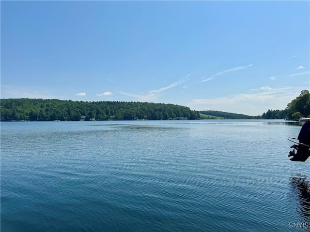 3018 Camp Rd, Eaton, NY 13334 - water view with a forest