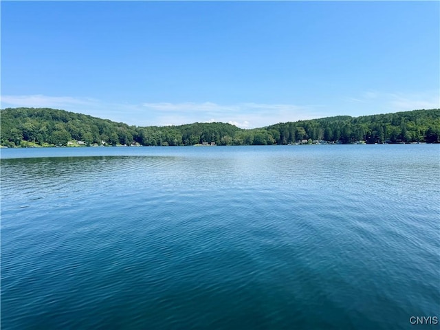 3018 Camp Rd, Eaton, NY 13334 - water view featuring a forest