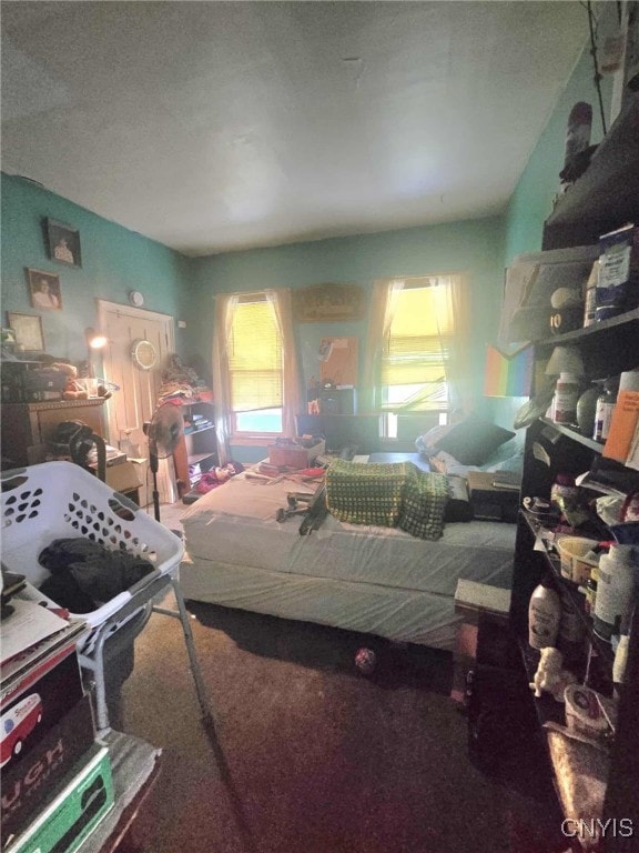 223 Lakeview Ave, Syracuse, NY 13204 - view of carpeted bedroom