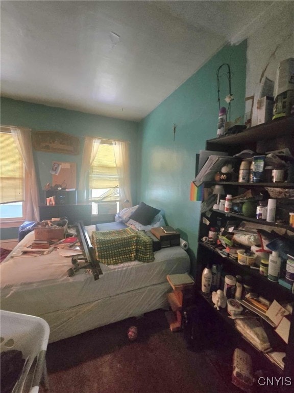 223 Lakeview Ave, Syracuse, NY 13204 - carpeted bedroom with lofted ceiling and multiple windows