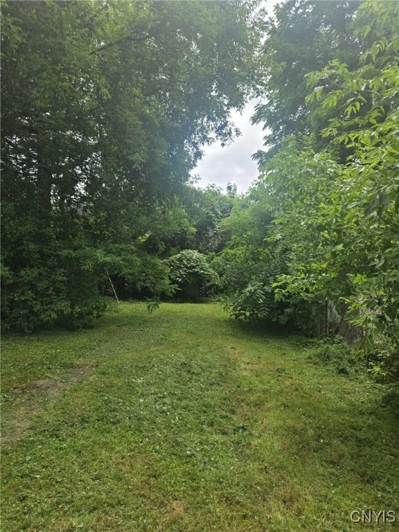 223 Lakeview Ave, Syracuse, NY 13204 - view of grassy yard featuring a wooded view