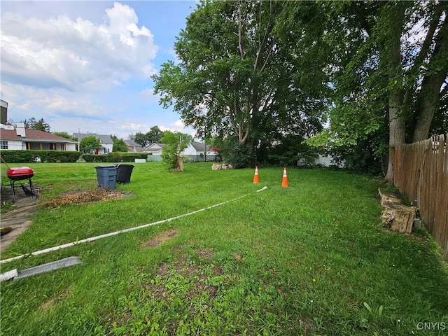 1125 Adams St, Utica, NY 13501 - view of yard