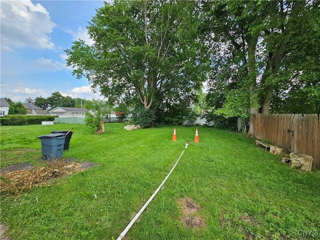 1125 Adams St, Utica, NY 13501 - view of yard