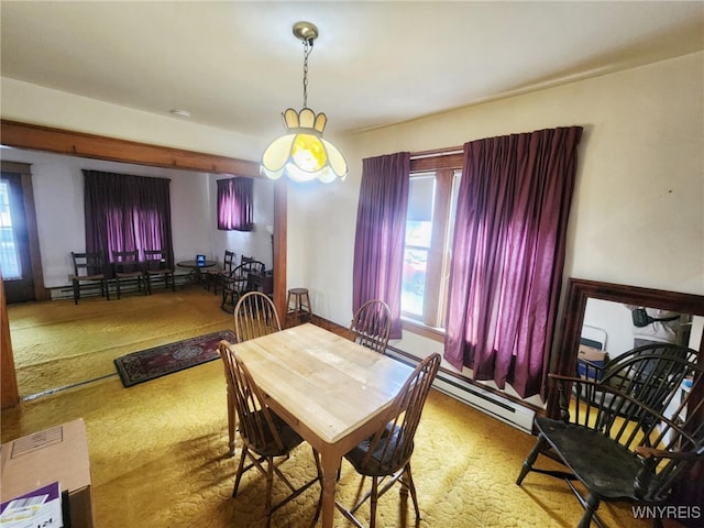24 Jackson Ave, Salamanca, NY 14779 - photo 12